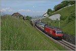 Die SBB Re 460 113-4 mit einem IC nach St.Gallen zwischen Bossière und Grandvaux.
26. Mai 2016