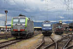 Drei Generationen BLS Loks, Siemens Vectron 475 407-3, 465 018-8 und 425 182, stehen in der Abstellanlage beim badischen Bahnhof.