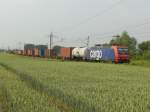 481 002 der SBB Cargo GmbH erreicht kurz vor Satzkorn den Bahnbergang mit ihrem Gterzug.
