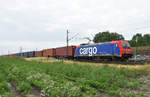 482 043-7 der SBB Cargo unterwegs mit Container in Richung Hamburg.