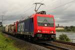 482 041 bei Königsbach auf der linken Rheinseite unterwegs in Richtung Süden (19.08.2021)