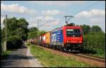 Die 482 045 ist mit einem Gterzug in Richtung Schweiz unterwegs. Aufgenommen in Rintheim im August 2008.