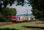 Re 482 047-8 mit einem KLV gen Sden bei Muggensturm 6.8.10