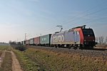 Am 07.02.2015 fuhr Re 482 019-7 mit einem Containerzug bei Hügelheim in Richtung Norden.