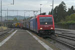 An einem herbstlich-trüben Oktobertag begegnet mir die 484 003 der SBB Cargo auf dem Weg zum Bözbertunnel im Bahnhof Frick. Die Bözbergstrecke ist der Zulauf zum Gotthard, entsprechend dicht ist der Güterverkehr.
Frick (Basel - Brugg - Zürich), Mittwoch, 18.10.2023