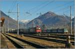 SBB RE 484 003 und FS Aln 663 in Domodossla.