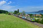 Re 485 004 + 186 10x mit einem Containerzug am 14.06.2017 bei Spiez. 