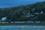 Die Elektrolokomotive 485 006-1 zieht Anfang April 2021 einen Containerzug, so gesehen auf der linken Rheinstrecke bei Remagen.