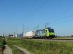 Friesenheim - 2. Juni 2021 : BLS Lok 485 011 mit einem KLV in Richtung Norden.