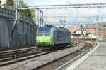 Die 485 007 der BLS Cargo hat zusammen mit einer 486 des gleichen Unternehmens einen langen Containerzug von Domodossola nach Spiez gebracht. Um den Anstieg vor dem Südportal des Simplontunnels zu überwinden, war eine Doppeltraktion nötig, die hier aufgelöst wurde. Gerade geht die führende 485 007 vom Zug. 
Spiez, Donnerstag, 19. Oktober 2023