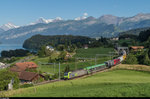 Re 485 019 fährt am Abend des 20. Juli 2016 mit einer RoLa bei Kumm in Richtung Thun.