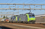 Doppeltraktion, mit den BLS Lok 485 018-6 und 486 505-1, durchfahren den Bahnhof Rothrist.