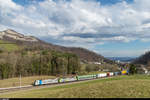 Eine RoLa mit 187 004 und 485 019 am 4. März 2017 kurz vor dem alten Hauensteintunnel bei Trimbach.<br>
Die Hauenstein-Basislinie ist an den Wochenenden vom 25./26. Februar und 4./5. März 2017 wegen Bauarbeiten gesperrt und die IC Basel - Interlaken, Basel - Brig sowie einige Güterzüge werden über die alte Hauensteinstrecke umgeleitet. Die Regionalzüge werden durch Busse ersetzt um auf der einspurigen Strecke genügend Kapazität zu schaffen.