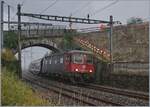 Zwei Bilder der SBB Re 6/6 16688 (Re 620 088-6)  Aarburg-Oftringen  an der praktisch selben Stelle; doch wie man leicht feststellen kann, hat sich nicht nur das Wetter geändert...
Noch vor den umfangreichen Umbauarbeiten in Cully fährt die SBB Re 620 088-6 mit ein einem Güterzug unter der schönen Steinbogenbrücke in den Bahnhof von Cully ein. 

3. August 2020