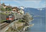 Frühling im Lavaux: Die SBB Re 6/6 11617 ist mit einem Güterzug bei St-Saphorin unterwegs. 15. April 2015