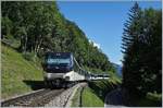 Der kurz darauf nach Montreux fahrende Gegenzug zeigt das künftige Bild der MOB: Pendelzüge. 
Im Bild die Ge 4/4 8004 mit dem ebenfalls im Regionalzugdienst fahrenden MOB Panoramic Express 2225 von Zweisimmen nach Montreux kurz nach Chamby. 

21. Juni 2020