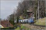 Für den Gegenzug, den Golden Pass Express GPX 4074 wagte ich noch einen weitern Versuch, diesmal ein paar Meter weiter hinten.