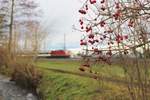 SBB Re 4/4 II unterwegs mir IR von St. Gallen nach Basel SBB in Bassersdorf. 26. Dezember 2017