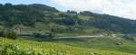 IC2000, leider nicht in der Sonne - dazu die Weinbaulandschaft des Lavaux, aufgenommen auf einer kleinen Wanderung zwischen Grandvaux und Epesses am 29.7.2011