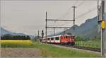 Glacier Express 903 mit Ge 4/4 II 628  S-chanf  zwischen Domat/Ems und Felsberg.