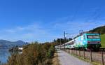 Die SOB Werbelok Re 456 092  Siemens  verkehrte am Morgen des 7. Oktober 2017 unter blauem Himmel mit dem VAE von St. Gallen nach Luzern zwischen Bollingen und Schmerikon Richtung Rapperswil. Irgendwie erinnert mich die Gegend und das  Dörfchen , schon noch ein bisschen an St. Saphorin im Kanton Waadt. Statt links-unten dem Genfersee, den Obersee ... ;)