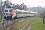 Re 446 017 mit Voralpen-Express IR 2413 von Luzern nach Romanshorn am 01.03.2011 bei Muolen. Im Gegensatz zu Romanshorn, wo der Nebel an diesem Tag bereits verschwunden war, hielt sich einige Meter hher der Nebel hartnckiger.