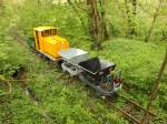 Güterzug der Bözenegg - Eriwis Bahn beim Durchqueren der urchigen Waldpartie.