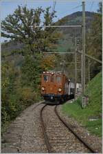  La DER de la Saison!  (Saisonabschlussfeier der Blonay-Chamby Bahn 2022) - durch das Zurückschieben des Zuges von Chamby nach Chaulin ergeben sich interessante Fotosujet, besonders, da die Ge 4/4 81 ihr Dreilichtspitzensignal beibehält. 
Zum Fotostandpunkt siehe Geoposition. 

29. Oktober 2022