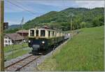 Festival Suisse de la vapeur 2024 / Schweizer Dampffestival 2024 der Blonay-Chamby Bahn. Der FZe 6/6 2002 ist mit einem Personenzug bei Cornaux auf dem Weg nach Chaulin; das eigentliche Motiv sind jedoch die neuen Holzfahrleitungsmasten.

20. Mai 2024  