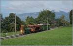 Autour de la voie ferrée / Rund um die eiserne Bahn (Herbstevent 2024) - Der GFM (Historique) BDe 4/4 141 ist mit dem Material für das  Defilee  bei Chaulin auf dem Weg in Richtung Cornaux. 

7. September 2024