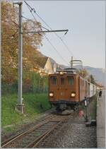 La DER de la Saison / Das Saison Ende der Blonay Chamby Bahn 2024 - Seit einigen Jahren zeigt die Blonay Chamby Bahn zum Saison Ende mit einem verdichteten Fahrplan noch einmal ihre herrlichen