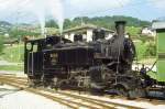 BC Museumsbahn - ex BFD HG 3/4 3 am 13.07.1996 in Montbovon - Zahnrad-Dampflok - Baujahr 1913 - SLM2317 - 440 KW - Gewicht 44,00t - LP 8,76 - zulssige Geschwindigkeit A45/20Z km/h - =17.06.1989 -