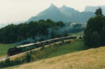 GFM/BC: Sonderzug mit der G 5/5 99.193 und dem Be 4/4 111 bei Gruyères im August 1985.