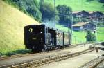 BDB Ballenberg Dampfbahn Dampfzug 32022 von Brienz nach Interlaken Ost am 06.08.1994 Durchfahrt Oberried mit Zahnrad-Dampflok HG 3/3 1067 - C 31 - BC 28 - F 51.