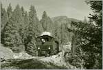 Die von Frankreich für Indochina bei der SLM bestellte, 1923 ausgelieferte und von der DFB (Dampfbahn Furka-Bergstrecke) aus Vietnam in die Schweiz zurückgeholte HG 4/4 704 erreicht mit ihrem Dampfzug 133 von Realp kommend in wenigen Minuten ihr Ziel Oberwald. 

30. September 2021