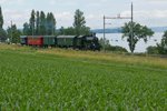 Von Mai bis Oktober führt der Verein Historische Mittel-Thurgau-Bahn am letzten Sonntag im Monat Ufer-Dampffahrten zwischen Kreuzlingen und Rorschach durch.