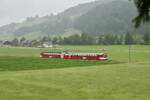 Der RBDe I 222 Pendel vom VPM auf einer Fahrt nach Willisau am 6.7.24 kurz vor Gettnau.