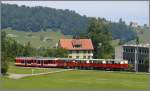 BDeh 3/6 25, B9 Velowagen und drei offene Sommerwagen unterhalb von Heiden. (25.06.2010)