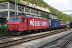 Der farbenfrohe OeBB Güterzug vom 13. August 2021.
DSF Re 456 094-2, + WRS Re 430-111 + TEE TR Re 421-393 bei dem Zwischenhalt in der Klus.
Fotostandort: Bildausschnitt Fotoshop.
Foto: Walter Ruetsch