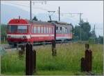 Bei der Haltestelle Kreuzstrasse stehen immer noch diese eisernen Panzersperren aus der Zeit des 2. Weltkriegs. Heute sind sie nur noch Dekoration und hchstens ein rgernis fr den Bauern beim mhen. (12.06.2008)