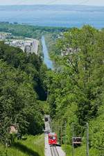 Mit Blick auf den 'Alten Rhein' und den Bodensee hat der Triebwagen auf seiner 6 Minuten dauernden Fahrt von Rheineck nach Walzenhausen am 01.06.2019 gleich das Ziel erreicht.