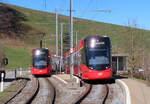Regionalzug von St. Gallen nach Trogen (rechts) begegnet in der Station Schwarzer Bären dem Gegenzug. St. Gallen, 2.3.2021