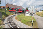 ASm am 2. August 2019. STAR Be 4/8 110 bei der Ausfahrt Niederbipp Richtung Solothurn. Offenbar experimentiert auch die ASm hier mit weiss angemalten Schienen gegen hitzebedingte Gleisverwerfungen.