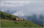 Der BLM Be 4/4 31  Lisi  ist als R66 3740 von Mürren nach der Grütschalp unterwegs und konnte auf dem halben Weg zwischen Winteregg und Grütschalp fotografiert werden. 

8. August 2024