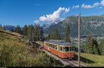 125 Jahre BLM: Der Be 4/4 21 fährt am 13. August 2016 zwischen Grütschalp und Winteregg in Richtung Mürren.