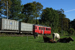 CJ: Mit etwas Fotografenglück konnten am 29. September 2016 innert kurzer Zeit drei verschiedene Gütertriebwagen zwischen Le Noirmont und Tavannes mit viel Sonne im Bilde festgehalten werden.
Zusätzlicher Kehrichtzug mit dem Reserve-Gütertriebwagen ABe 4/4 641 ehemals RhB Chur Arosa.
Foto: Walter Ruetsch