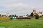 Lok 21 mit Zuckerrübenzug am 15.10.2014 beim Château de Vufflens.