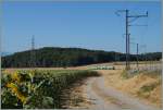 Der BAM Regionalzug 111, der mich nach Reverolle brachte, erreicht bereits Chardonney-Château.