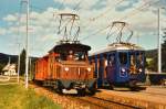 Für den Geschsellschaftsverkehr hielt die WSB zwei Züge vor:  S' farbige Bähnli  (links) und  s'blaue Bähnli  rechts.