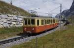 BDhe 2/4 206 und Bt 30 fahren am 13.8.11 oberhalb der kleinen Scheidegg talwrts.